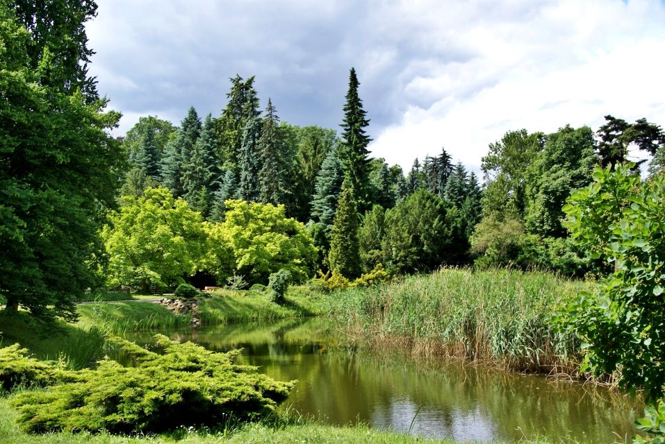 Kornik Castle and Rogalin Palace Half-Day Private Tour - Discovering Kornik Arboretum