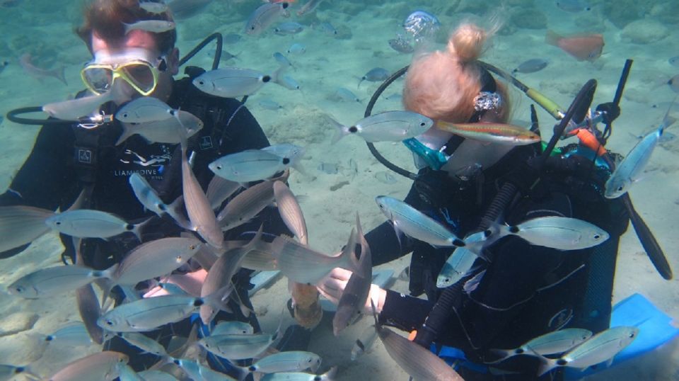 Kos: Beginner Scuba Diving at Pserimos Island - Departure and Safety Briefing