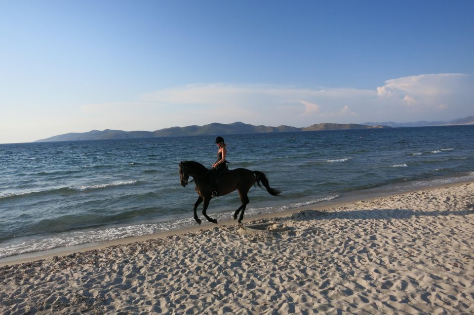 Kos: Horse Riding Experience on the Beach With Instructor - Customer Reviews