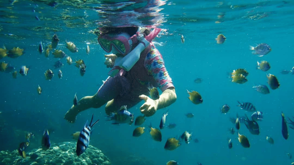 Kota Kinabalu : Snorkeling at Ara Dinawan Private Island - What to Bring