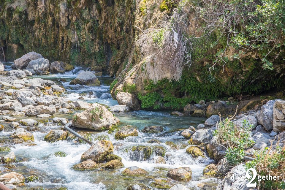 Kourtaliotiko Gorge: Snorkel Trip to the Waterfalls - Important Information for Participants