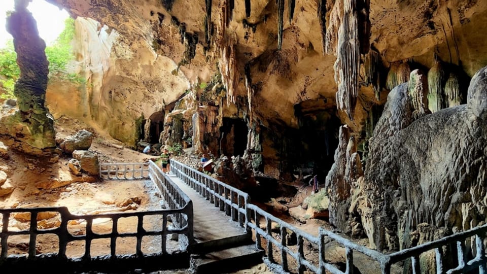 Krabi Half Day Eco Tour Mangrove Boat Trip & Khanap Nam Cave - Mangrove Forest Experience