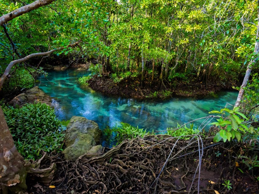 Krabi: Kayaking, Crystal Lagoon, and Fish Spa in Klong Root - Crystal Lagoon Swim