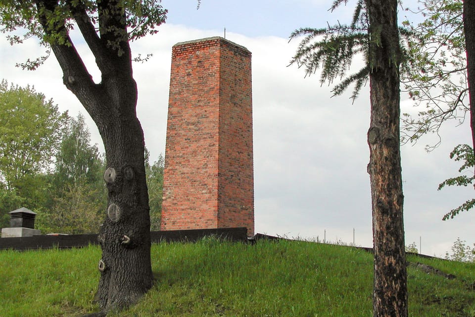 Krakow: Auschwitz-Birkenau Day Trip With Tour Leader - Important Participant Guidelines