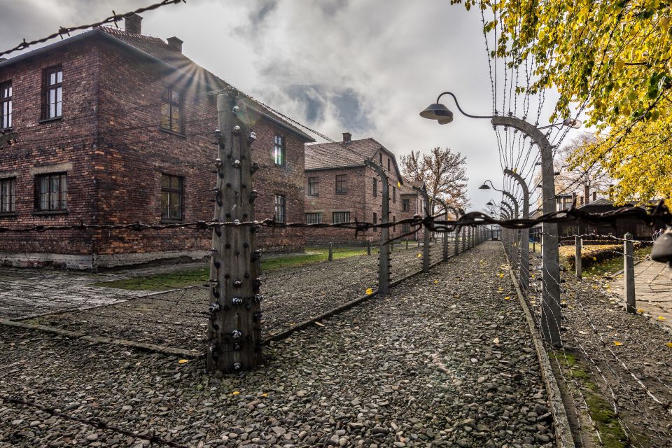 Kraków: Auschwitz-Birkenau & Salt Mine Full-Day Guided Tour - Customer Feedback and Ratings