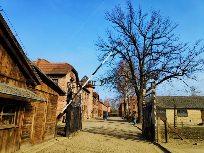 Krakow: Auschwitz-Birkenau & Wieliczka Salt Mine With Lunch - Historical Significance