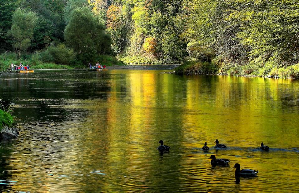 Krakow: Dunajec Rafting, Treetop Walk & Thermal Baths Tour - Dunajec River Rafting