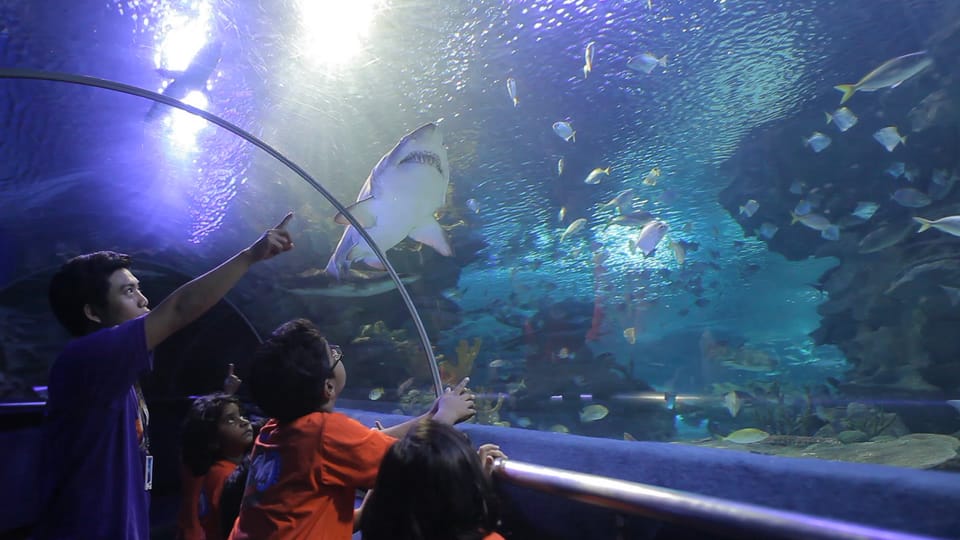 Kuala Lumpur: Aquaria KLCC Entry Ticket - Visitor Guidelines and Tips