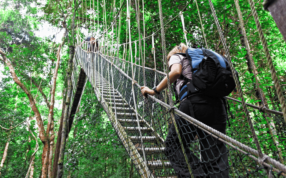 Kuala Lumpur: Taman Negara National Park Teras Waterfall - Important Travel Information