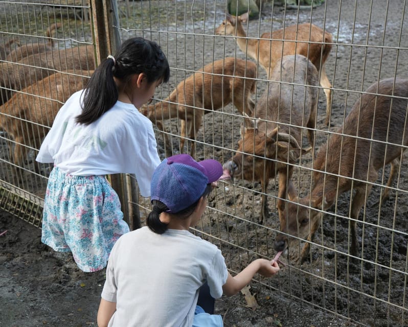 Kuala Lumpur: Zoo Negara Instant Entry E-Ticket - Visitor Operating Hours