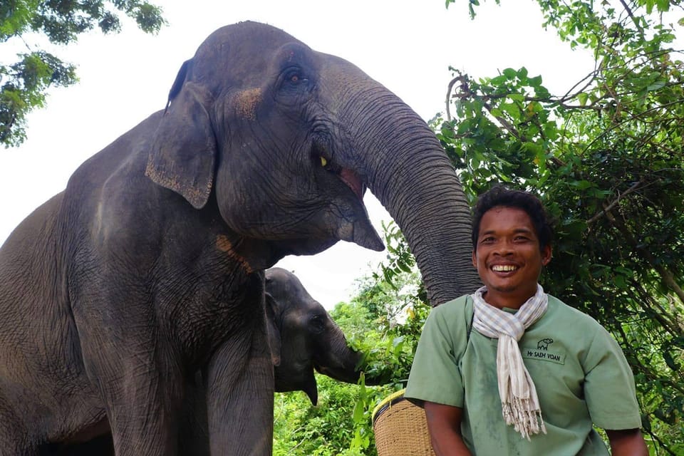 Kulen Elephant Forest and Tonle Sap Lake - Scenic Drive Through Nature