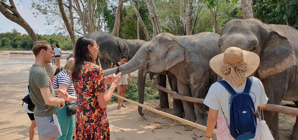 Kulen Elephant Forest and Tonle Sap Lake - Included Amenities