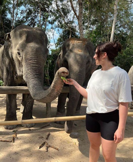 Kulen Elephant Forest Siem Reap in Small Group - Inclusions and Amenities