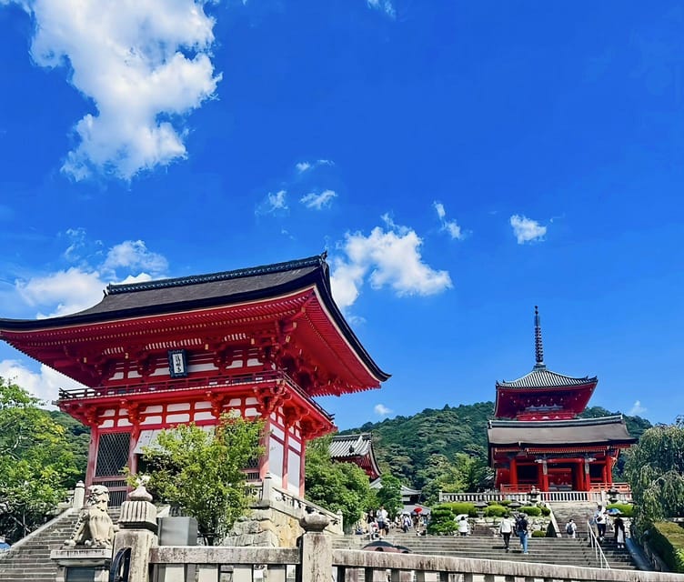 Kyoto: Customized One Day Car Tour - Inclusions and Exclusions