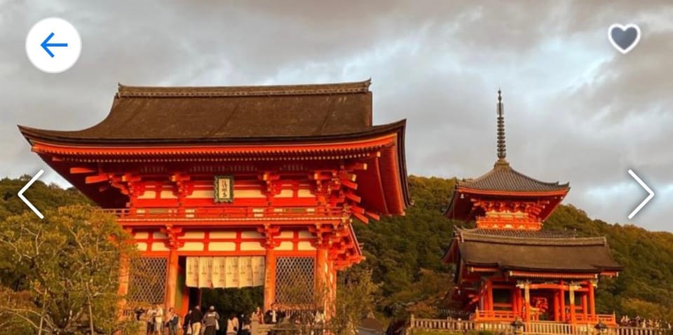 Kyoto: Highlight Tour With English-Speaking Driver - Personal Experience