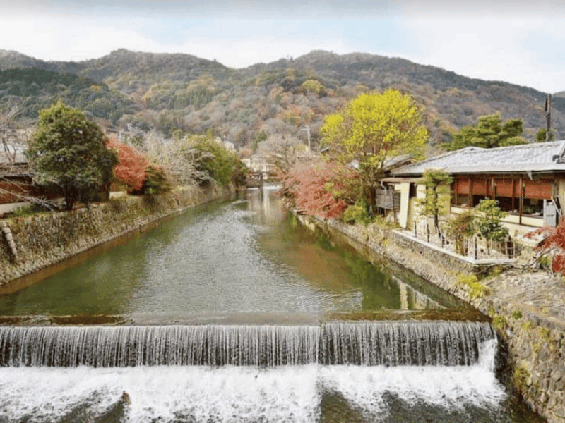 Kyoto: Private Full Day Car Tour by English Speaking Driver - Important Information