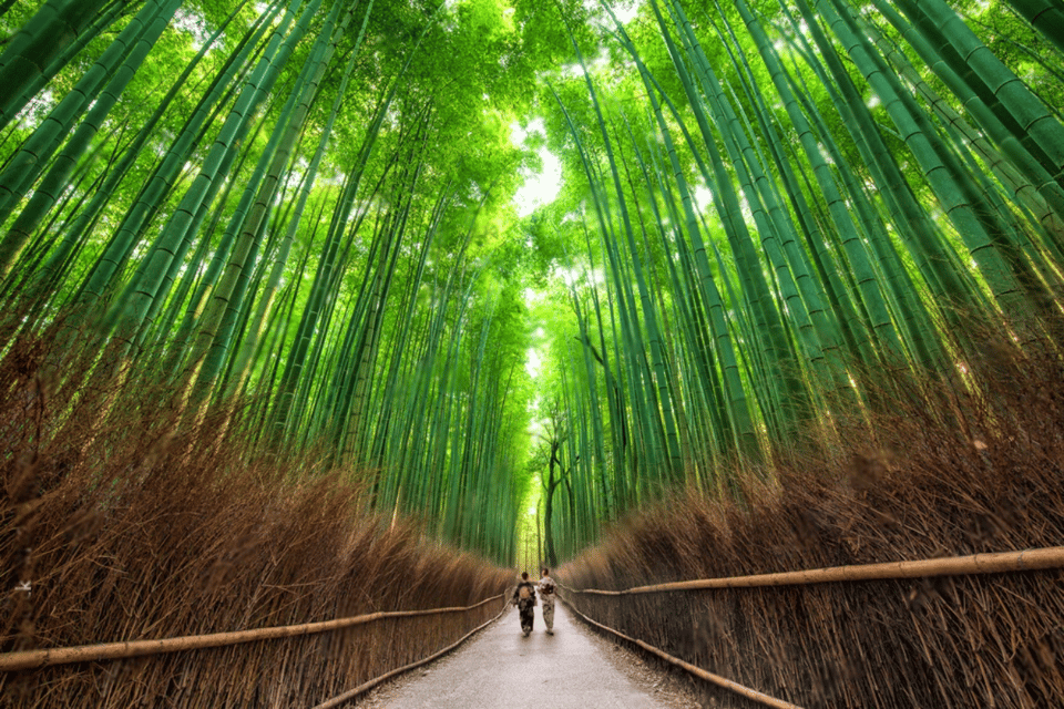 Kyoto Private Group Tour From Osaka/Nara - Unique Tour Experiences