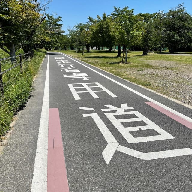 Kyoto: Rent a Road Bike in Kyoto and Return in Osaka! - Safety Guidelines