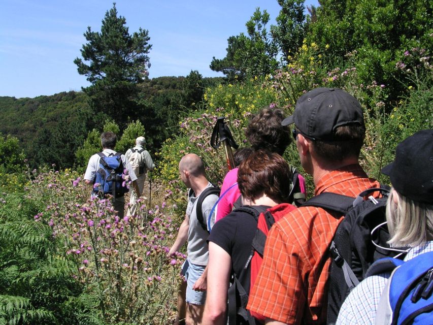 La Gomera: Guided Hiking Tours From Valle Gran Rey - Group Size and Exclusions