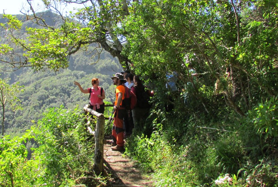 La Gomera: Hiking in the Mystical Garajonay National Park - Booking and Participant Requirements