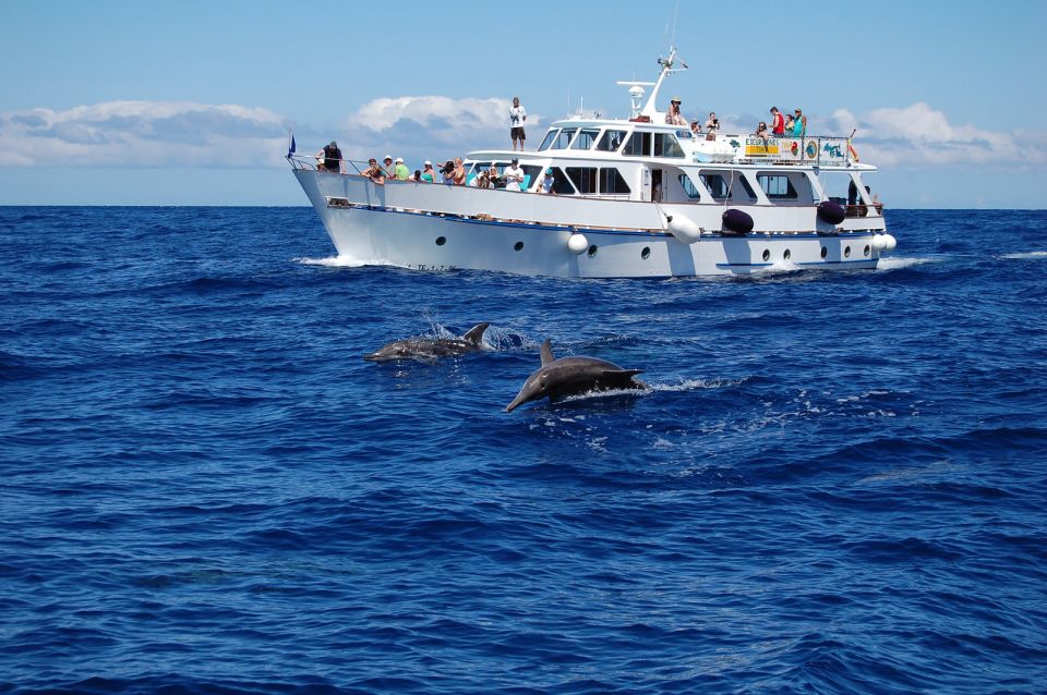 La Gomera: Whale Watching Tour on a Vintage Boat - Guidance and Language