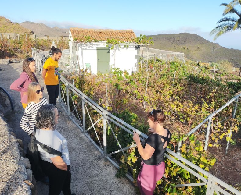 La Gomera: Winery Visit and Tasting Tour - Customer Feedback