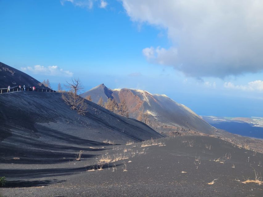 La Palma: Tajogaite Volcano Guided Hike - Activity Highlights