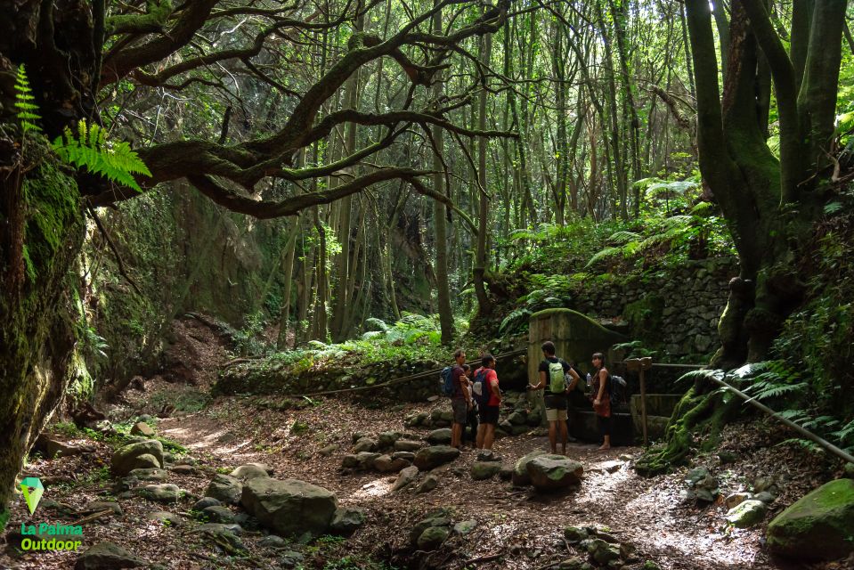 La Palma: Zarza Archaeological Park Guided Trek - Meeting Point