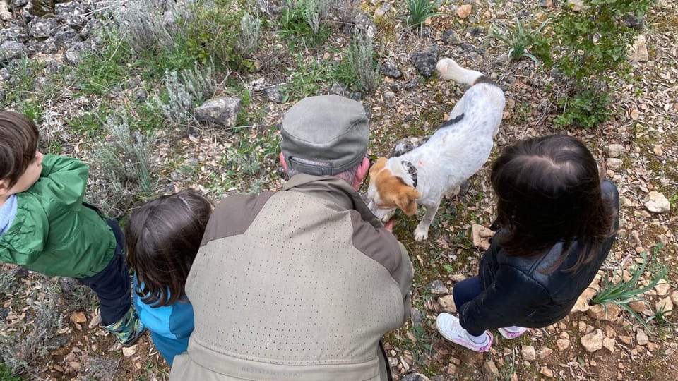 Laconi: Truffle Hunting Experience With Aperitif - Aperitif Offerings