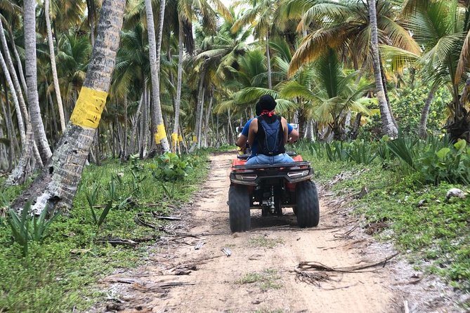 Laguna Beach Buggies Adventure - Inclusions and Amenities