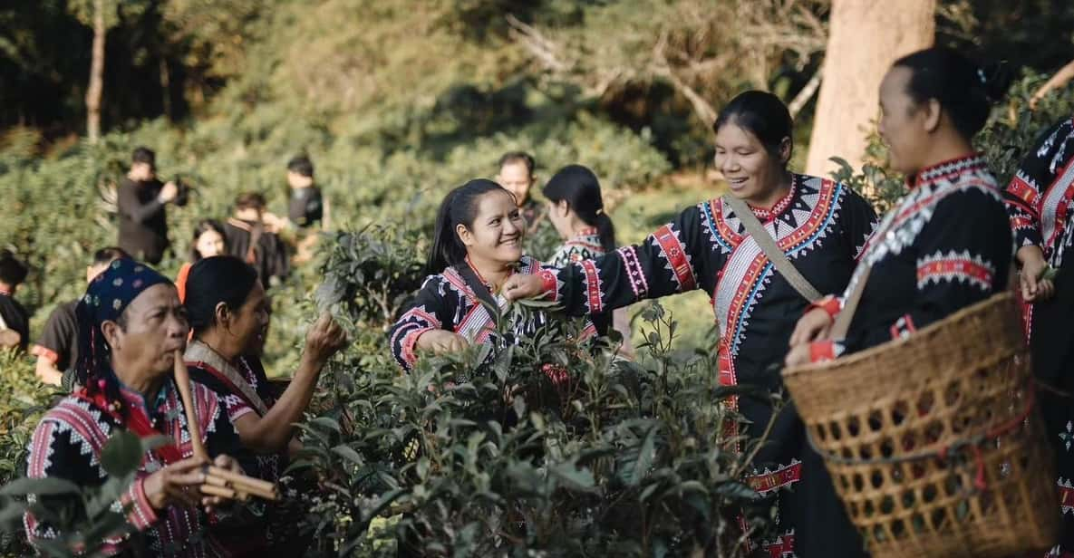 LAHU Tea Tourism Experience - Culinary Exploration