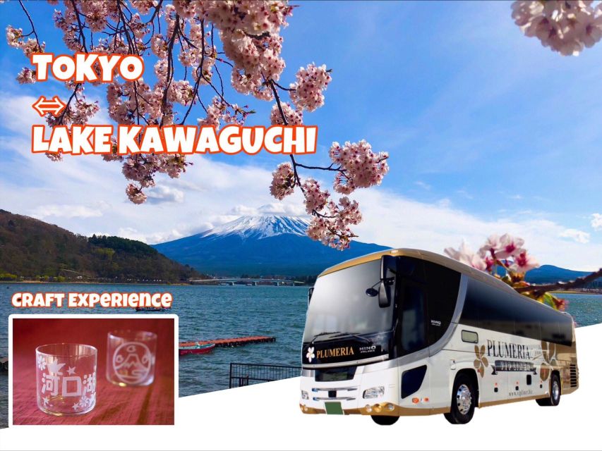 Lake Kawaguchi From Tokyo Express Bus Oneway/Roundway - Important Information