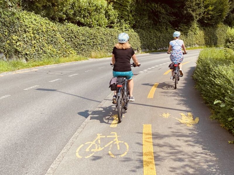 Lake Lucerne Peninsula E-Bike Tour - Important Requirements