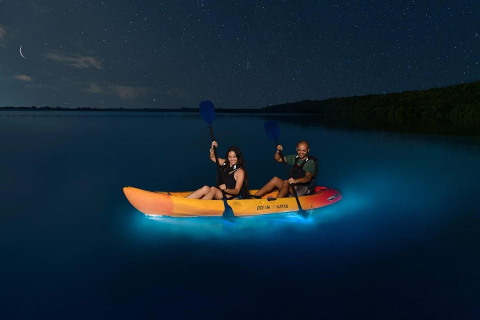 Lan Ha Bay | Night Kayaking Explore Bioluminescence Plankton - Tips for Your Adventure