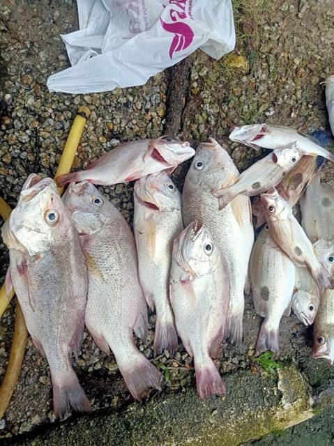 Langkawi : Funfishing Four Hours - Equipment and Services Provided