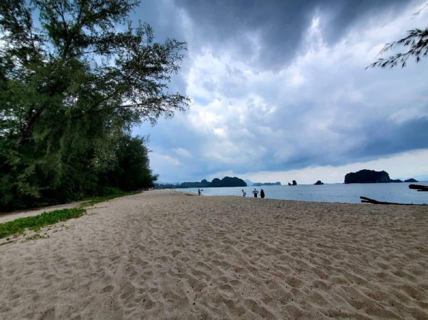 Langkawi : Mangrove Boat Tour With Lunch - Safety and Accessibility