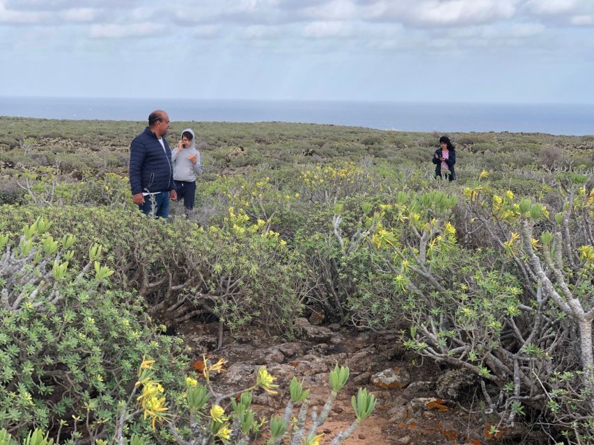 Lanzarote: A Different Perspective Guided Driving Tour - Scenic Highlights