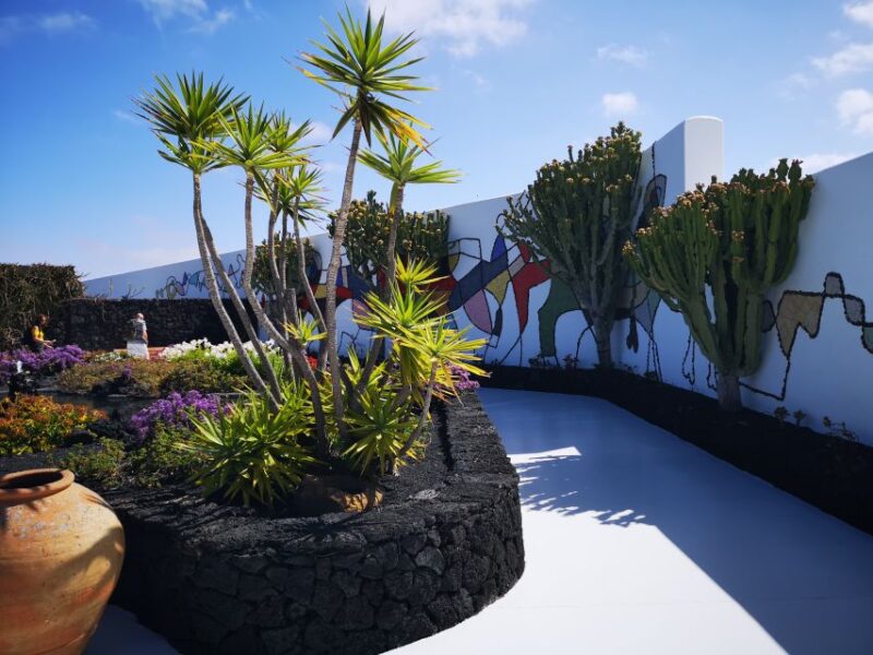Lanzarote: César Manrique Foundation and Teguise Market - Customer Ratings and Feedback