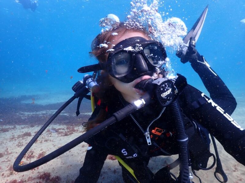 Lanzarote: Intro to Diving Experience for Beginners - Underwater Highlights
