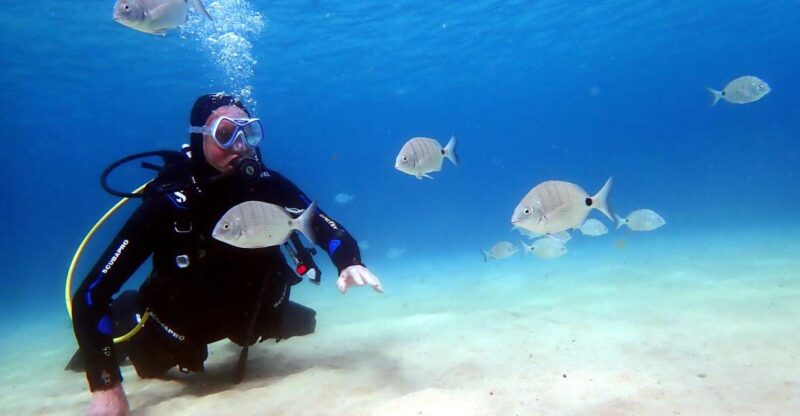 Lanzarote: Small Group Beginner Dive Course Costa Teguise - Diving Equipment