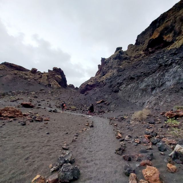 Lanzarote: Timanfaya National Park Trekking Tour - Customer Reviews and Feedback