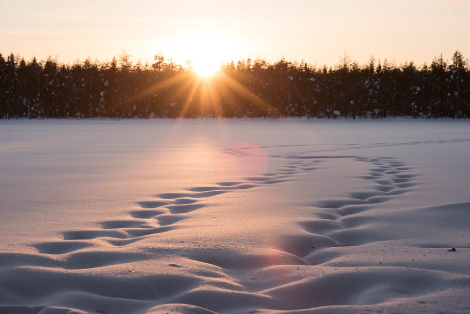 Lapland Full Day Tour With Lunch & Dinner - Restrictions and Considerations