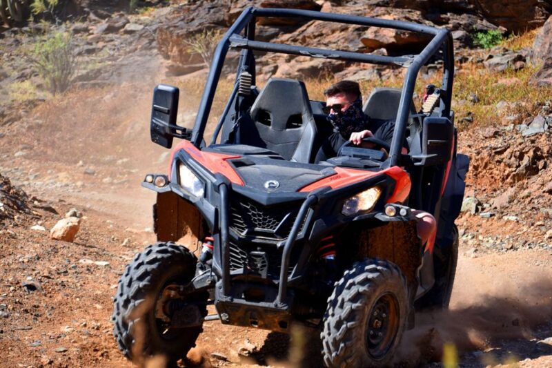 Las Palmas: Gran Canaria Guided Buggy Tour - Inclusion and Requirements