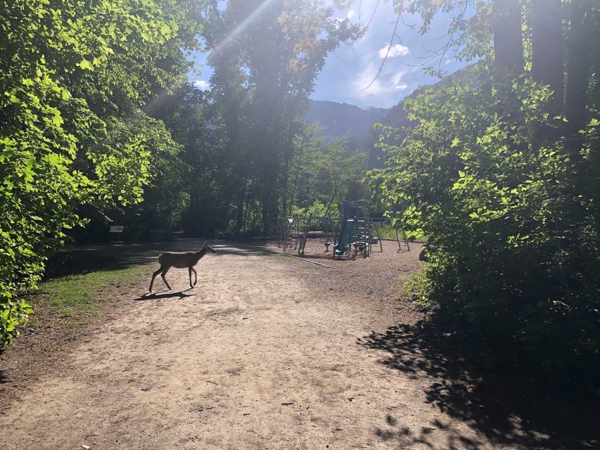 Leavenworth: Beaches & Bites Self-Guided Audio Walking Tour - Exploring Waterfront Park