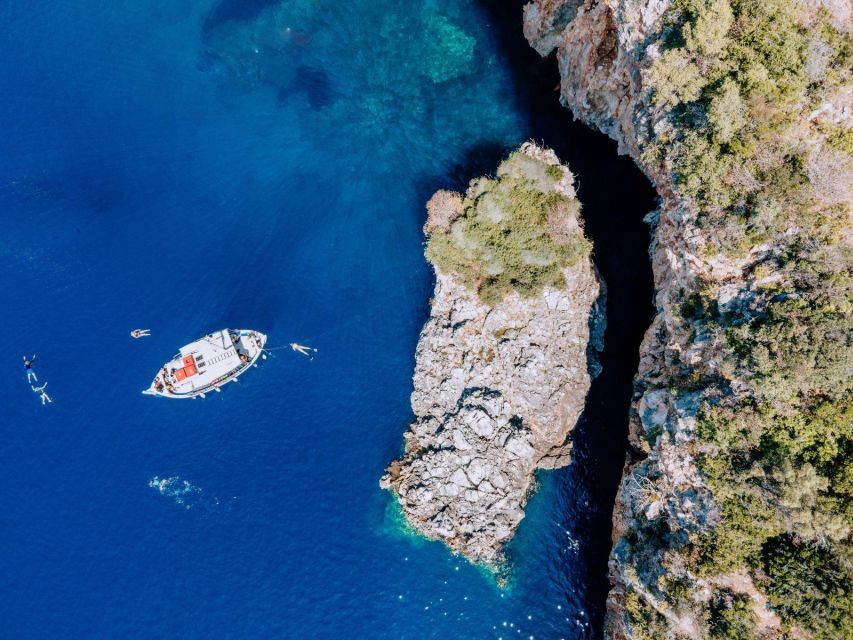 Lefkada: Private Marine Wildlife Tour - Pricing and Booking Information