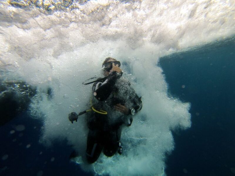 LEstartit: Dive and Snorkeling in Montgrí Natural Park - Meeting Point and What to Bring