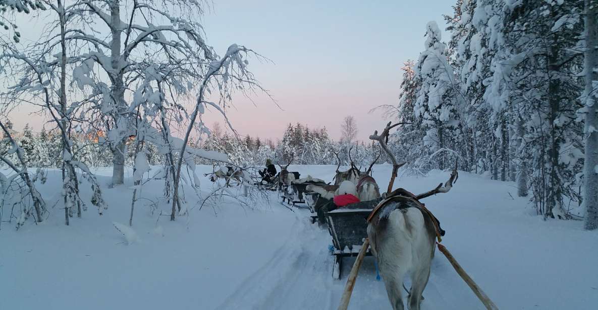 Levi: 3km Reindeer Sleigh Ride - Frequently Asked Questions