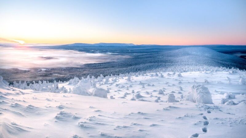 Levi: 4 Hour Snowmobile Safari to the Fells in Levi - Safety Guidelines