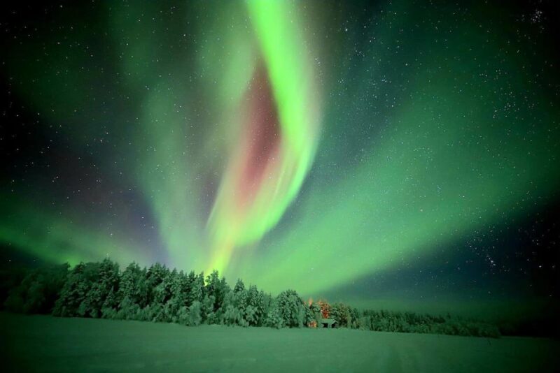 Levi: Aurora Borealis Bus & Snowshoe Tour With Hot Drink - Important Information and Recommendations