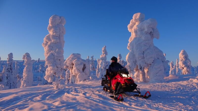 Levi: Evening Snowmobile Safari - Tips for Enjoying the Experience